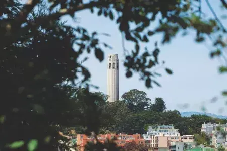 San Francisco's Coit塔, framed by trees in the foreground.