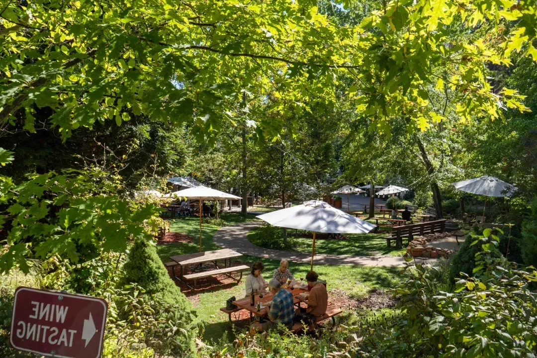 Lush, green picnic area with group sitting at table tasting wines